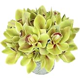Blooming Paradise 20Pcs Real Touch Artificial Fake Plants Silk Cymbidium Orchid Flowers Arrangements Wedding Bouquets Decorations Plastic Floral Table Centerpieces Home Kitchen Garden Party(Green)