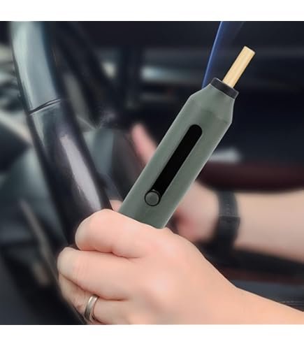 Walnut Cigarette Holder, Car Indoor Smoking Anti-Flying Tobacco Ash Cover,  Bullet-Free Ash, Portable Cigarette Disposal Ashtray : Amazon.ca: Automotive