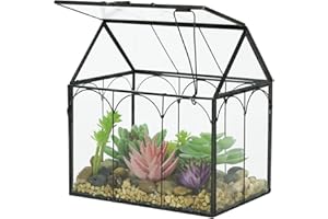 Ferrisland Glass Plant Terrarium (6" L x 4.3" W x 6.3" H)