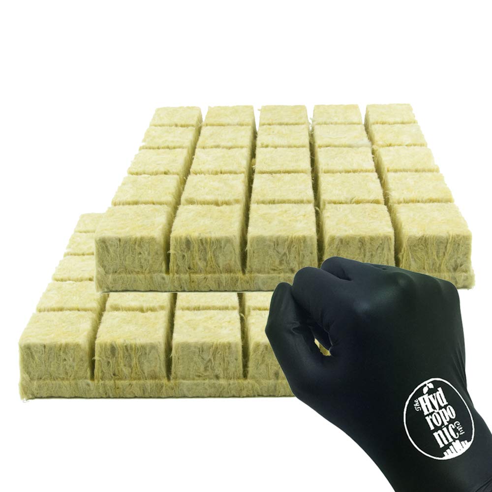 GRODAN A OK Rockwool Stonewool Hydroponic Grow Media Starter Cubes Plugs + THCity Gloves - 2" x 2" - 50 Piece