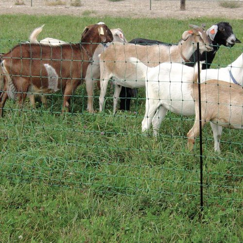 Powerfields P-75-W Electric 32-Inch Sheep Fence-Netting, 32-Inches Tall X 164-Feet Long Netting, 15 Line Post, 19 Stakes, 2 Tie-Down cords, Repair Kit, White Netting - Thumbnail 7