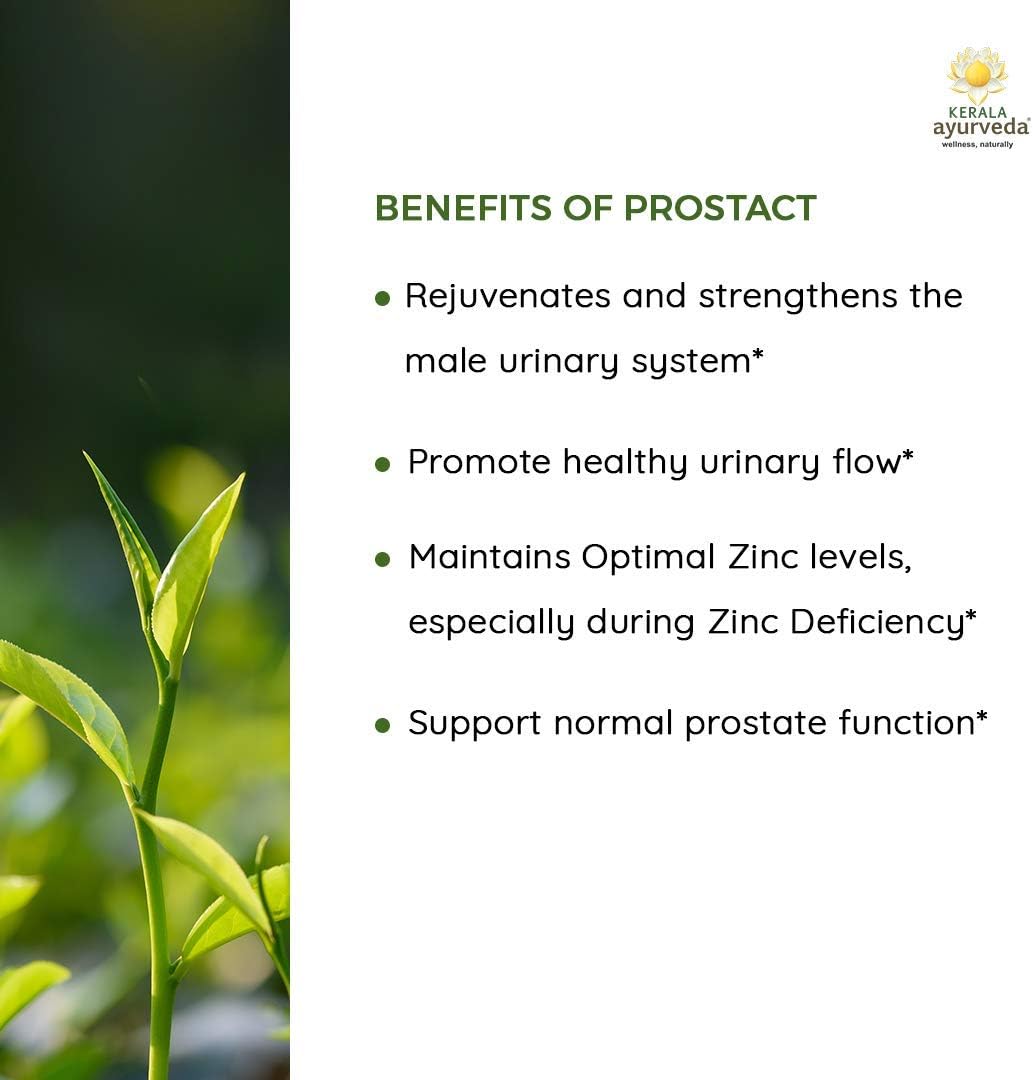Kerala Ayurveda Prostact - Herbal Capsules with Tribulus to Support Normal Prostate Functions, Maintain Healthy Urine Flow, and Overall Men’s Well-Being, 90 Count: Health & Personal Care