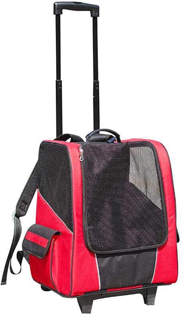 trasportatori di animali da compagnia per auto