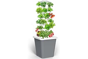 LYCereal Hydroponics Growing System, 30-Plant Indoor Tower with Pump System, Plants Germination Kit, Vertical Hydroponic System for Gardening Lover (No Seed)