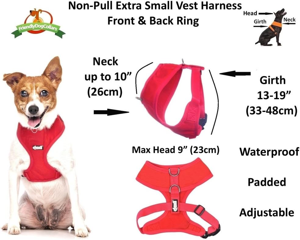 Dexil Elite Range Luxury Padded Waterproof Adjustable Back and Front Ring Non-Pull Xsmall Pet Dog Vest Harness (Flash Red - Image 4