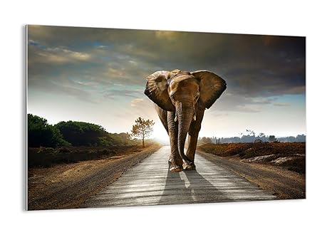 ARTTOR Bild auf Glas - Glasbilder - Einteilig - Breite: 120cm, Höhe: 80cm - Bildnummer 0214 - zum Aufhängen bereit - Bilder -