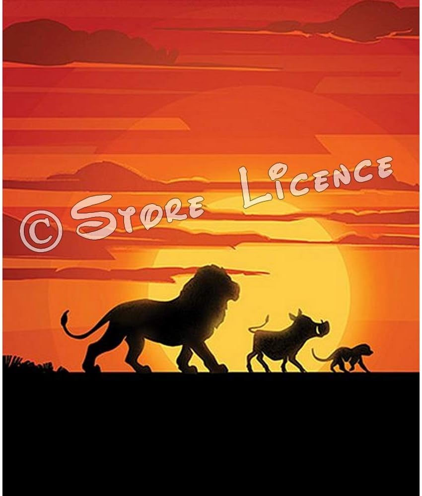 Microfibre 100 X 140 Cm Aymax S P R L Couverture Plaid Polaire Le Roi Lion Literie Enfants Cuisine Maison Lawawarenesssociety In