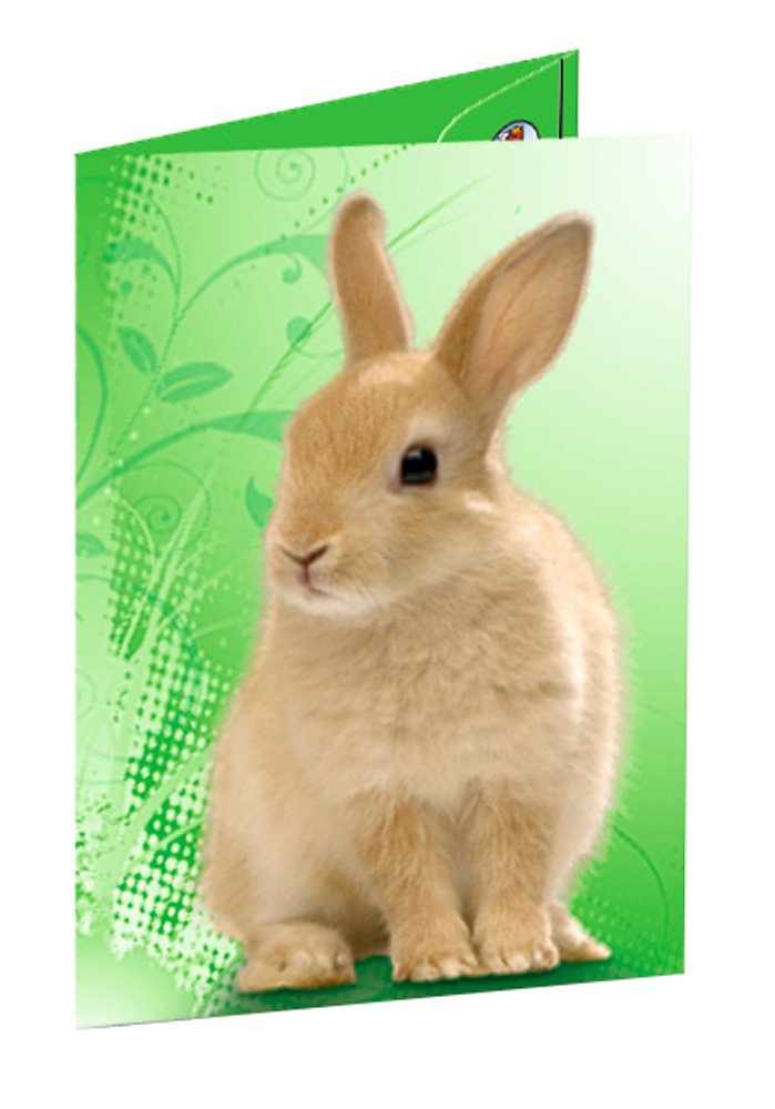 Ursus 5504005 Portfolio Folder with Elastic Band, Rabbit