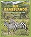 The Grasslands: Discover This Wide Open Biome (Discover the World's Biomes)