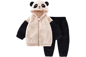 JiAmy Baby Toddlers Fleece Hoodie Set, Zipper Winter Tracksuit 2 Pcs Pullover Sweatshirt Girls Boys 12 Months-4 Years
