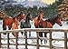 Keeping Busy Snowy Pasture 35 Piece Sequenced Jigsaw Puzzle Engaging Activities/Puzzles/Games for Dementia and Alzheimer's for Older Adults