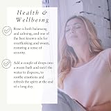 Absolute Aromas Rose Otto Essential Oil 3% Diluted in Coconut Oil 10ml view 5