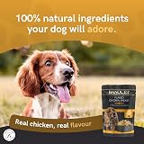 HiLife Banquet Wet Dog Food Chicken Rice Tuna Pumpkin 30 Pouches 100g view 4