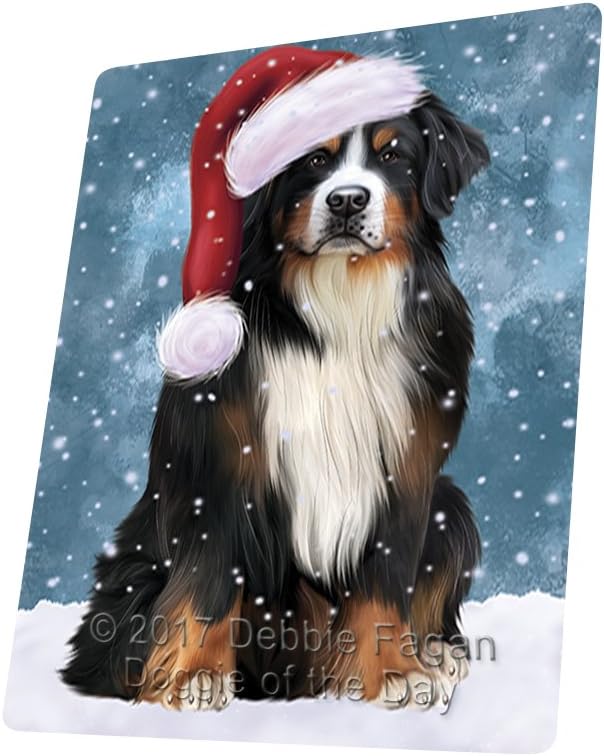 bernese mountain dog hat