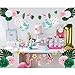 Flamingo Banner Birthday Decorations Baby Girls 1st Birthday Party Number One Balloon Summer Hawaiian Luau Tropical Party Wedding Hanging Decorations, Pink Green Gold, All in One Pack, Easy Joy