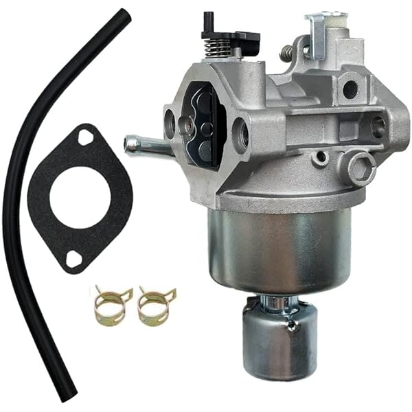 Amazon.com: labwork New Carburetor Replacement for Briggs Stratton 