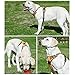 OLizee® New No Pull Dog Harness Outdoor Adventure Reflective Markings Pet Vest with Handle Adjustable Protective Nylon Walking Pet Harness Variety of Sizes and Colors,Orange XL