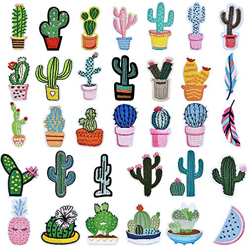 PGMJ 35 Pieces Plant and Vegetable Leaves Iron On Patch, Cute Plant Potted Cactus Assemble Patch for Arts Crafts DIY Decor, Jeans, Jackets, Kid's Clothing, Bag,Caps,Arts Craft Sew Making (K32)