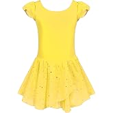 Arshiner Girls Ruffle Sleeve Ballet Dance Dress Tutu Skirted Leotard | Girl ballet leotards with two layers sequins asymmetrical tulle skirt,Ruffle sleeve ballet dress,Soft high stretchy fabric
