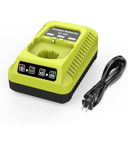 Amazon.com: RYOBI P118B 18V 電池充電器: 家居裝修