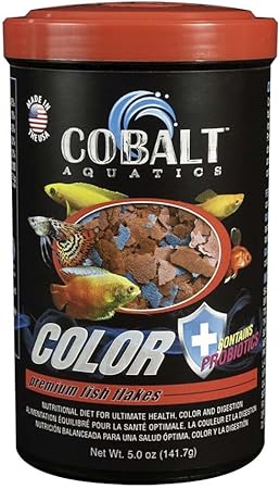 orange neoprene dog vest