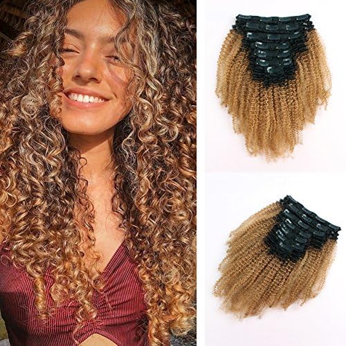 Loviro Afro Kinkys Curly Clip Ins Brazilian Virgin Double Weft Human Hair Extensions Ombre Tone Natural Black Fading into Caramel Blonde Color 7 Pcs 120g TN/27 18"