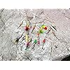 10pcs-Fishing-Lure-Spinnerbait-Bass-Trout-Salmon-Hard-Metal-Spinner-baits-kit-with-2-Tackle-Boxes-by-Tbuymax