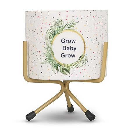 Vudy Small Metal Flower Plant Pot Stand Pots/Mini Flower Plant Containers Indoor Plant Holder Modern Style Idea (Plants not Included) (Multicolor(DesignA))