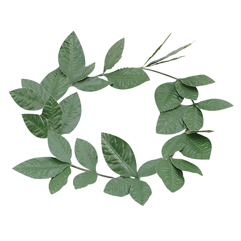 Green Laurel Leaf Headband (Pack of 1) - Exquisite Design, Perfect Headpiece for Historical, World & Culture, World Book Day, Themed Events, Cosplay, & More Halloween Halloween