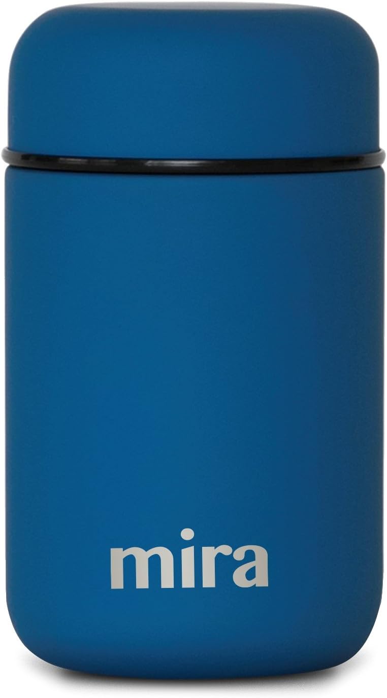 home bargains food flask