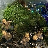 Funshowcase Monk Zen Garden Miniature 4 in Set, Brown