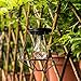 Solar Lanterns Outdoor Hanging - Sunwind LED Garden Table Lamps Solar Powered Edison Filament Bulbs for Patio Backyard Courtyard Lawn Landscape Decor (A60 Filament Bulb)