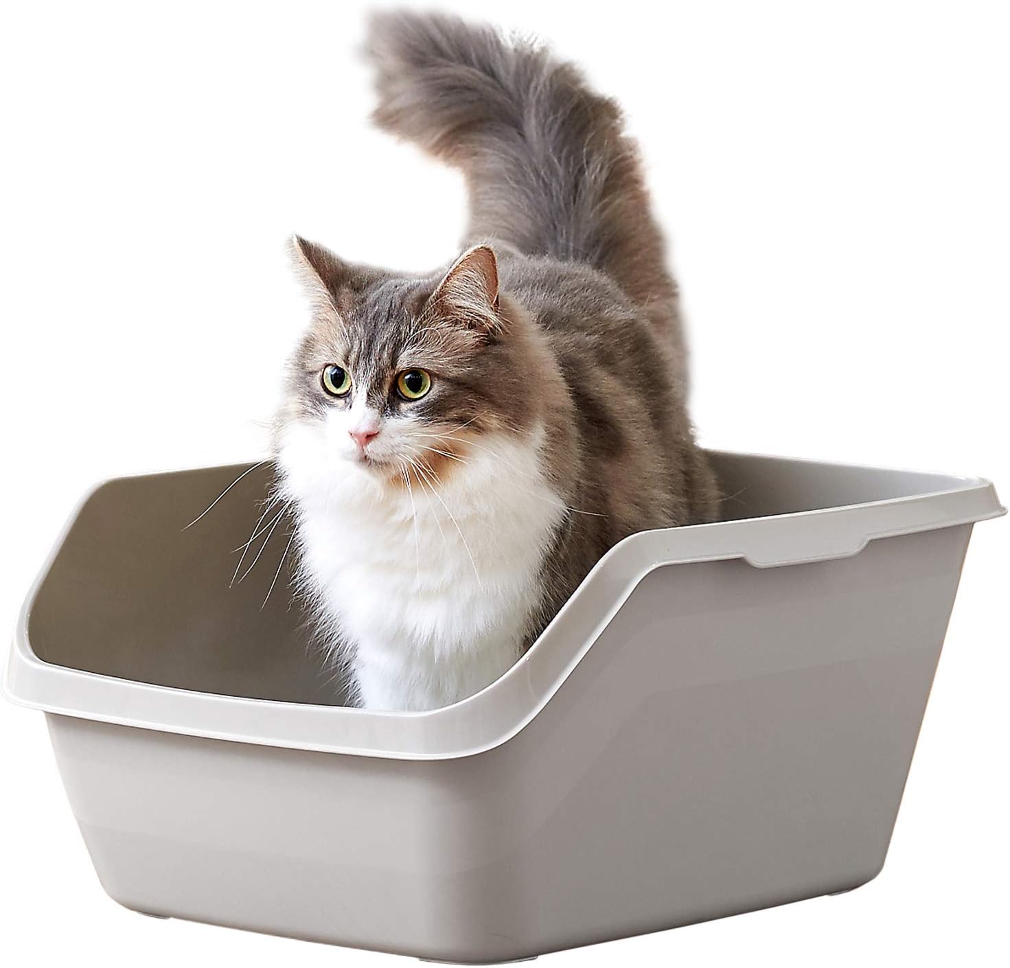 Amazon Oft Hy Cat ラージ グレー ハイキャット 本体 猫トイレ 大きい 飛散防止 一体成形 入口は低め 外寸 幅39 奥45 5 高21 5cm 内寸 幅26 奥33 高21cm 地面から入り口までの高さ 13 5cm オーエフティー トイレ