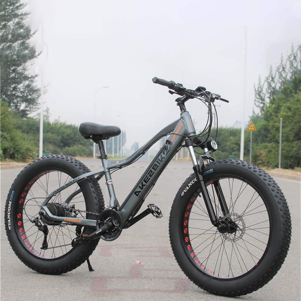GASLIKE Adult Fat Tire Electric Mountain Bike, 350W Snow Bikes