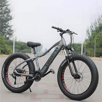 beach cruiser mountain bike hybrid