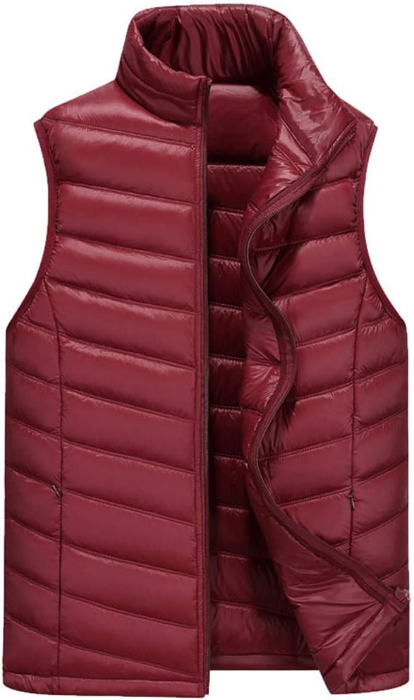 AYEN Men's Down Vest Jacket, Winter Casual Outdoor Warm Vest Fashion Hidden Pocket Vest