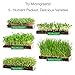 Window Garden Microgreen Tray with Fiber Soil and Spray Bottle - Grow Seeds to Fresh Greens - Growing Microgreens, Wheatgrass, Succulents with Style - Multi-Use Acrylic Planter - 15 x 6 x 2 inches