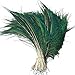 Sowder Natural Peacock Sword Feathers 10-15 Inches for Wedding Home Decoration Pcak of 50