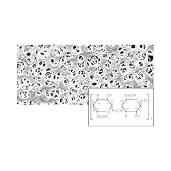 Sartorius 18406--13------N Regenerated Cellulose