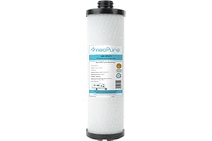 WaterPur™ KW1 Replacement RV Water Filter by Neo-Pure NP-KW1 – 10” Carbon Block for RCS/FR1 Housings in Forest River Campers, Boats, and RVs – Reduces CTO, VOCs