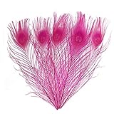 Wionya 20pcs Peacock Feather Craft 10-12inch(25-30) Plume for Wedding Centerpieces Home Decoration
