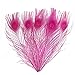 Wionya 20pcs Peacock Feather Craft 10-12inch(25-30) Plume for Wedding Centerpieces Home Decoration