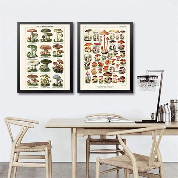 Ilustración de setas Carteles e impresiones vintage Ciencia botánica