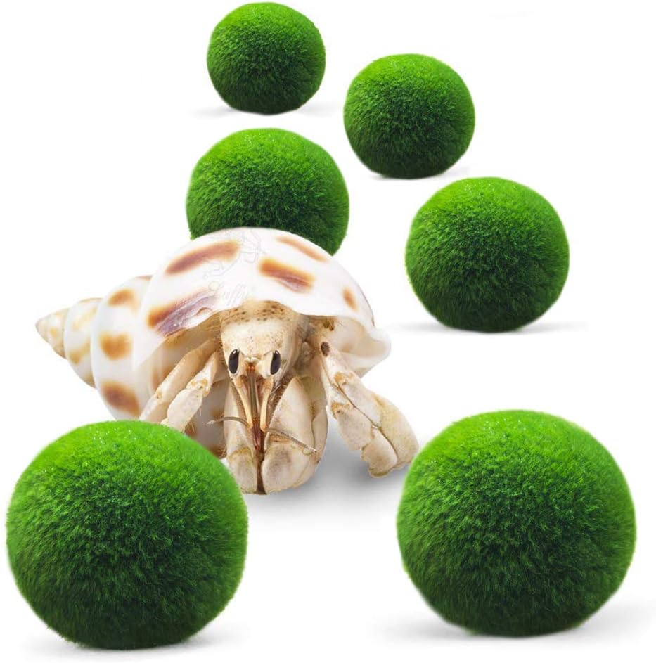 Luffy Caribbean Crab Nano Balls, Bright, Green Aquatic Plants, Round 0.6” Nano Moss Ball, Maintain Humidity, Supplements Caribbean Crab Diet, 6-Pieces per Pack
