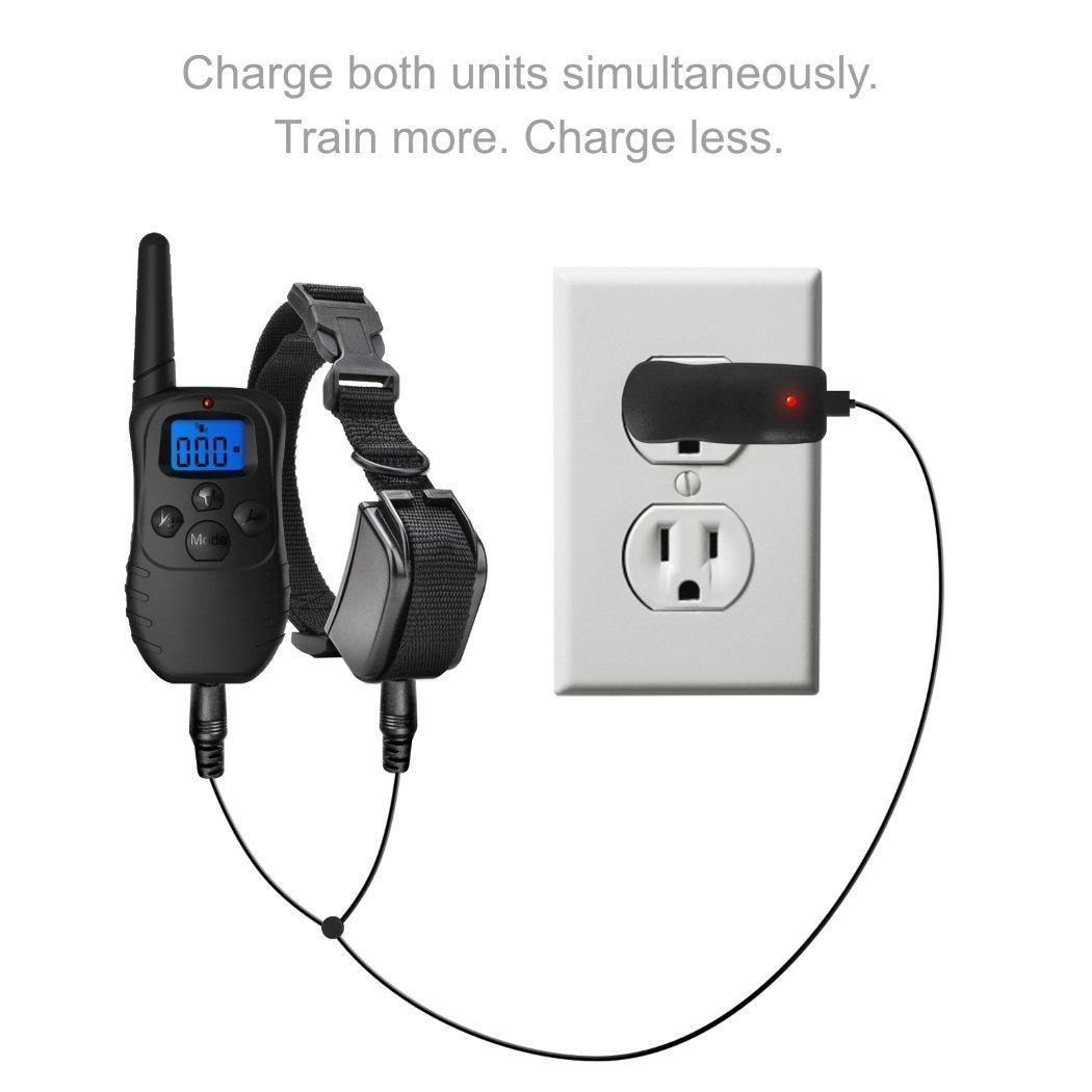 funshion shock collar