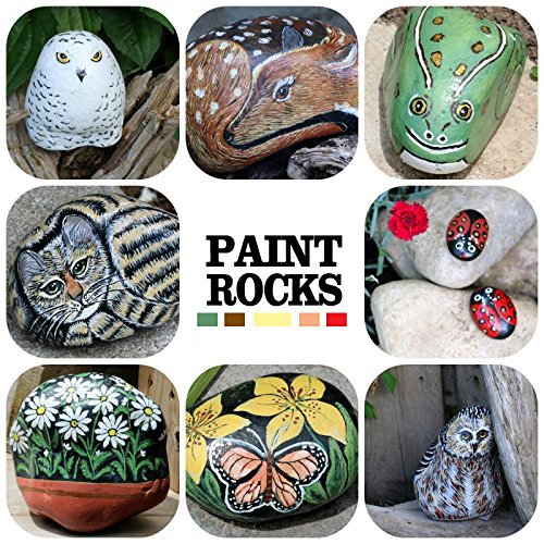 sta Paint Pens Fine for Rocks,Acrylic Paint Markers 24 for Wood,Medium Point Art Permanent Paint Pens,Paint Markers for Stones,Fabric,Glass,Metal,Ceramics,DIY Art Projects
