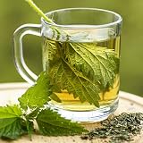 Alpi Nature Organic Nettle Tea 125g Dried Loose Leaf Botanical view 4