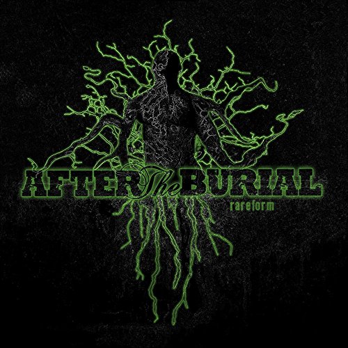 After The Burial - A Vicious Reforming of Features Lyrics - Zortam Music