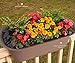 Bloem Modica Deck Rail Planter 12