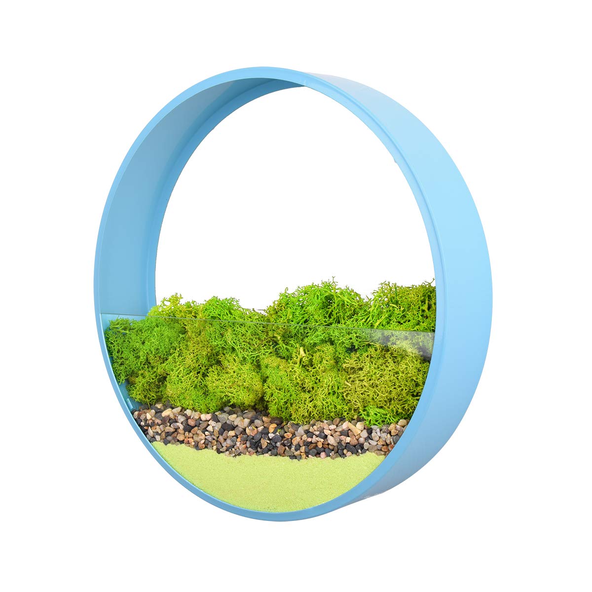 Ecosides Wall Vase, Metal Round Wall Planter Wall Mounted Hanging Flower Pot Plant Holder,Modern Wall Decor Art for Balcony Garden, Planting Air Plant,Dried Flower,Succulent,Blue,25cm